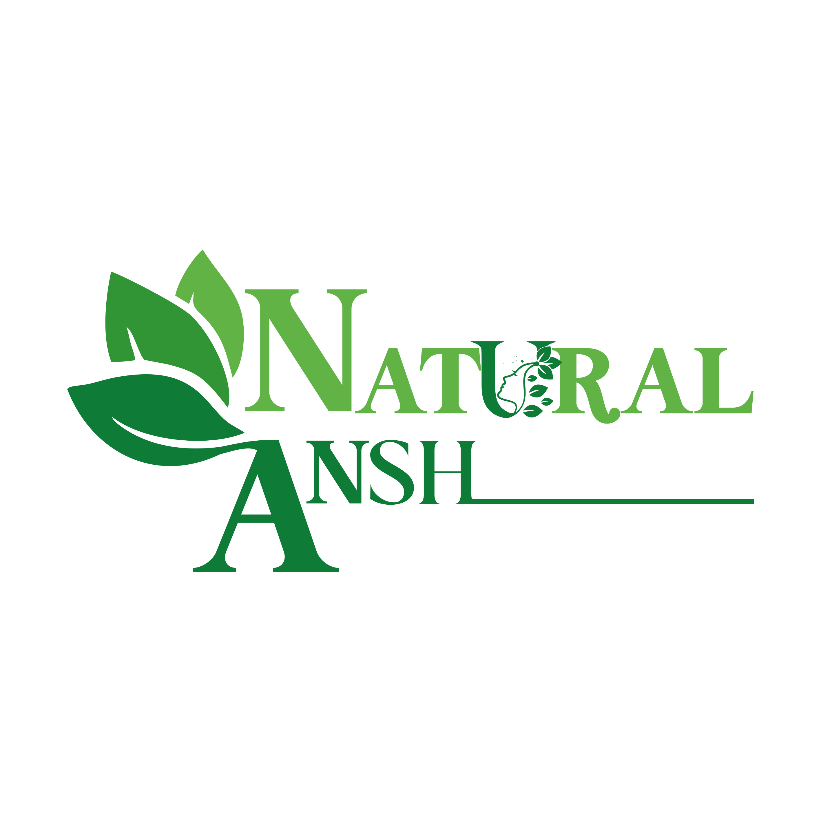 Natural Ansh Official Logo